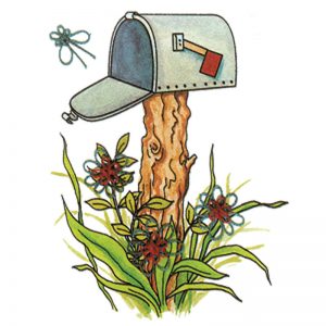 Designer Greeting Cards - TK14 - Country Mailbox